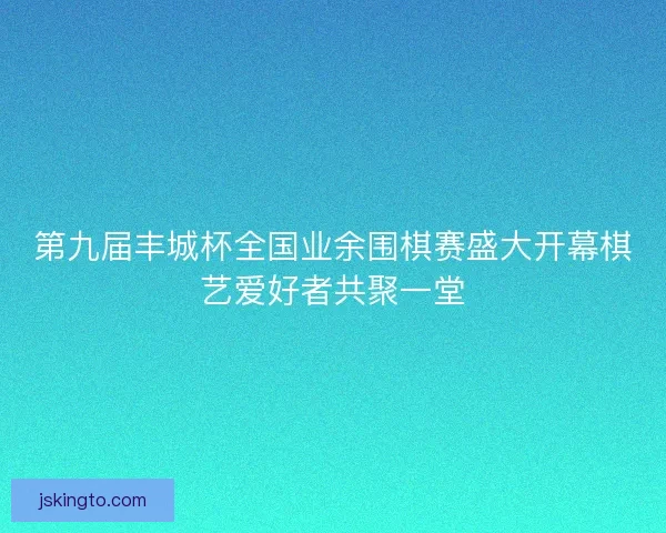 第九届丰城杯全国业余围棋赛盛大开幕棋艺爱好者共聚一堂